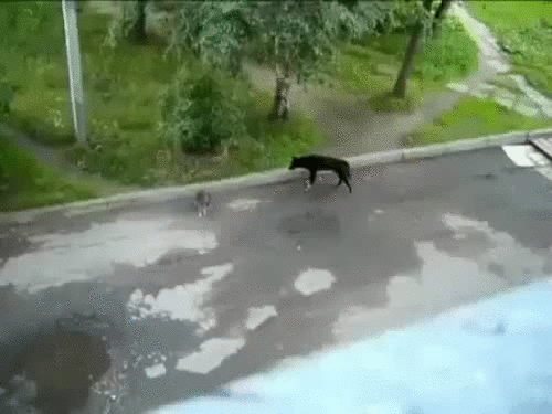 Эй, посмотри туда!