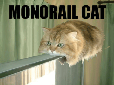 monorail cat
