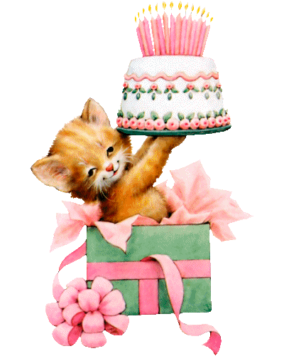котик с тортом 4
