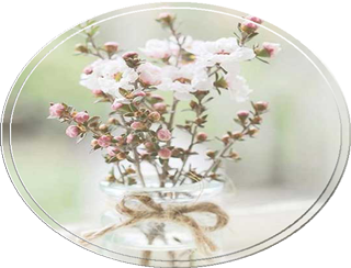 -В-БАНОЧКЕ-ЭТ.png-ОВАЛ