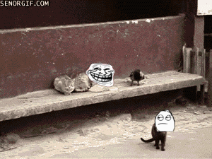 funny-gifs-trolly-bird