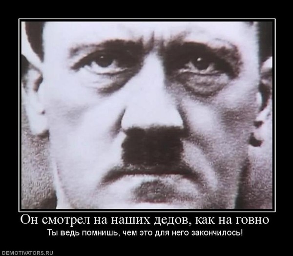 852305_on-smotrel-na-nashih-dedov-kak-na-govno