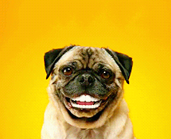 gifs_05