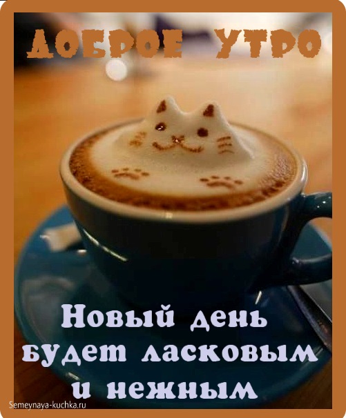 Доброе утро
