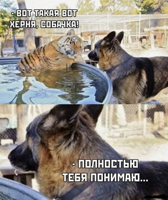sdfdsfds435435