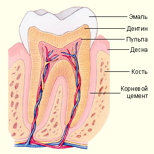 10020404