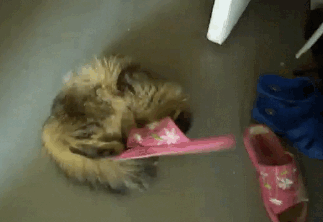 Subduing a slipper