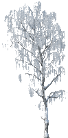 5c77ba991e4b8873b74f3175c8d7441d