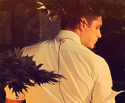 Supernatural 222