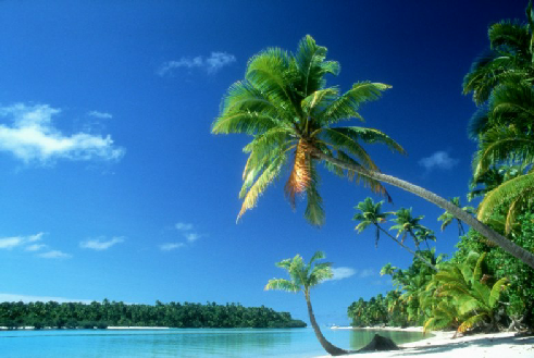 beach_by_DieselChick