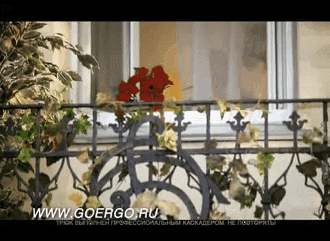 GOTOVO2