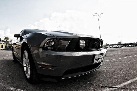 88cbdff87d4a9d20-original