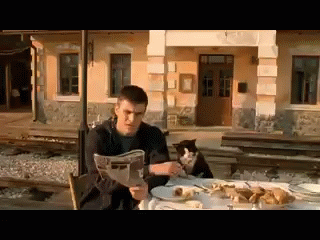 "Жизнь как чудо"