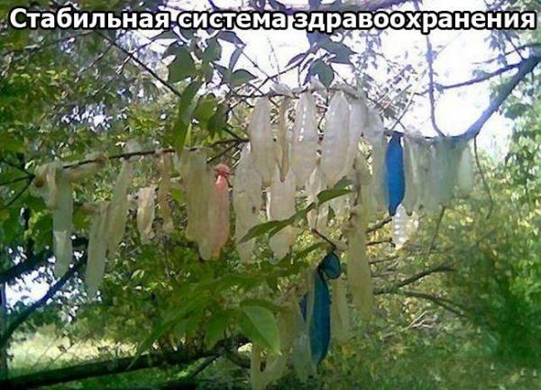 1249029722_russia_vein.ru-012