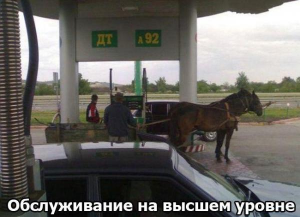 1249029737_russia_vein.ru-011