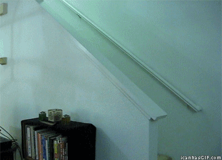 Привидение унисло кошку