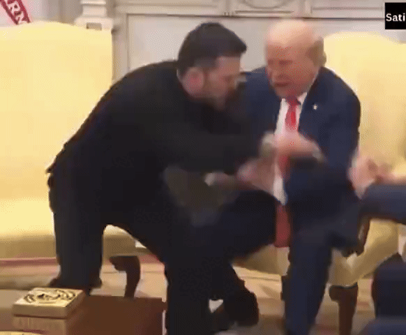 трамп и зеля файт 2