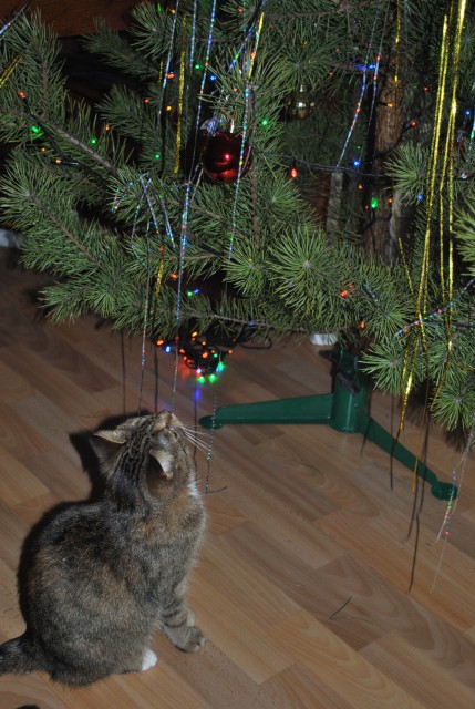 Изображение 025