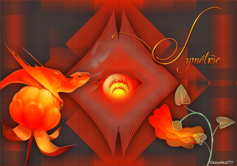 Коллажи от tane4ki 777 "Symetrie"