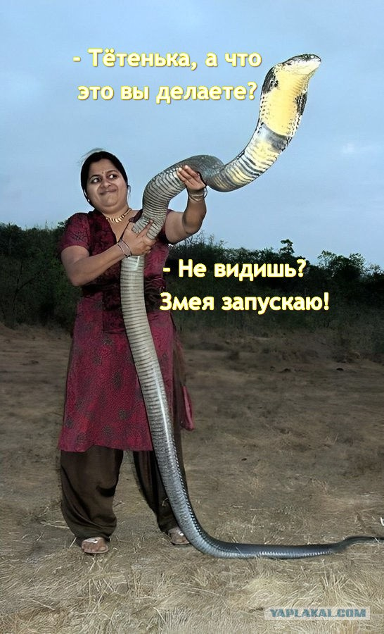 _2025-04-10_200310093