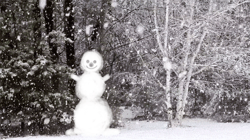 post-3-13259272592251