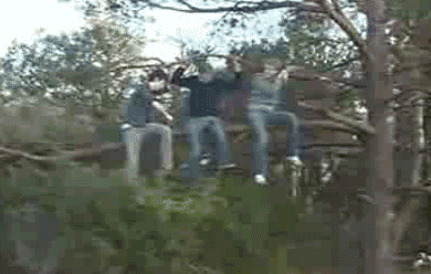 1250499942_tree_branch_saw_fail