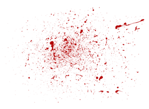 4cfbaea8d089f1a9e491aa34cc3ad060