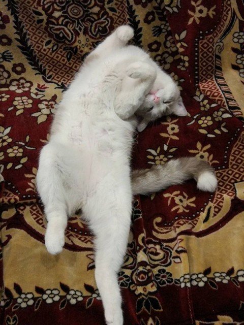 photo_2025-05-06_21-27-53