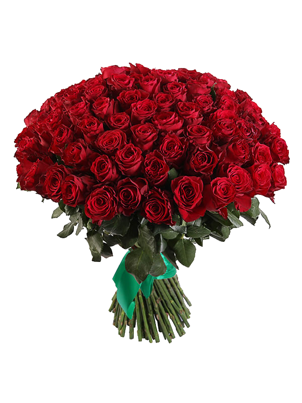 101-krasnaya-roza-sorta-Harts