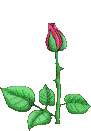 yfleur19_yapfiles.ru-Плеер