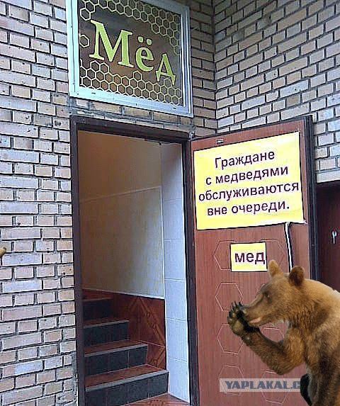 post-3-12508373067310