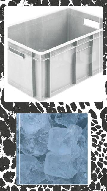 photo_2025-06-24_11-01-11 (2)