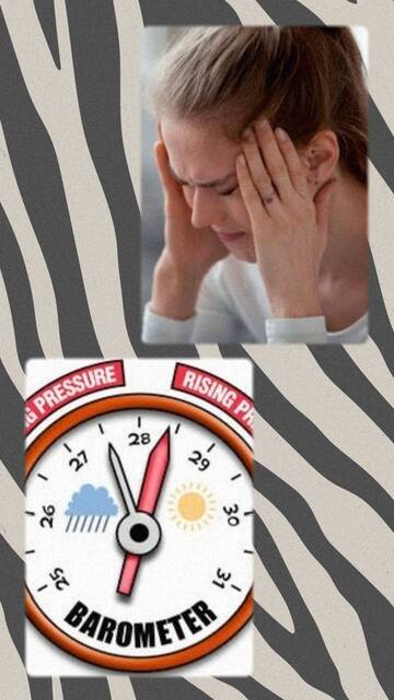 photo_2025-06-24_11-01-12 (2)