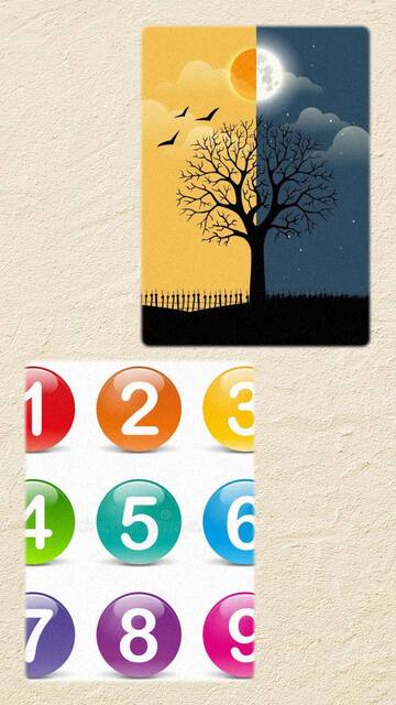 photo_2025-06-24_11-01-14 (2)