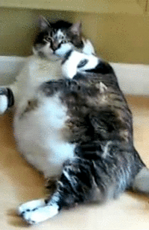 d83076cf-c58e-47f3-be41-21966c97b7f4