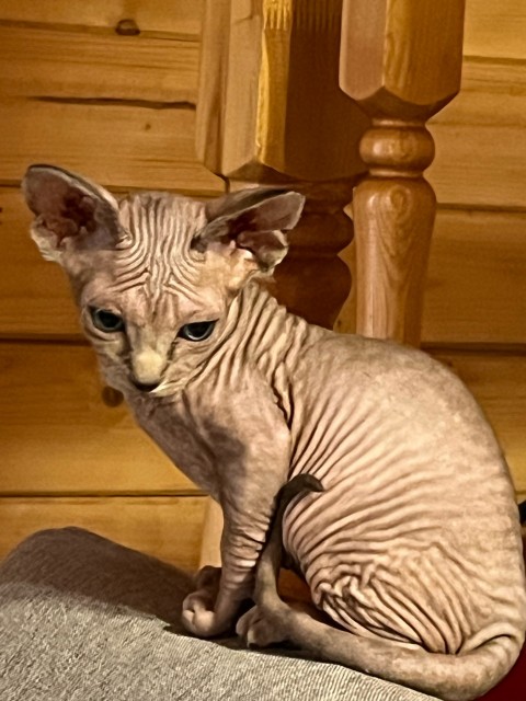 2T_JNF-5wGUx4gKy8_165Uv8WFI29hwco3YnI8Wx0b5oNRsaMUoE4b7FcwkCUroS79epKugnjFgREUlqKsLxIFNw