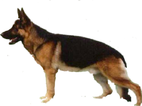 Без имени2