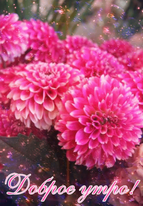 3e01db9831f94e58259610dd48faa757