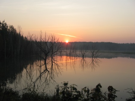 Изображение 158