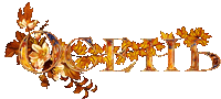 0_c93b9_1d8aeb48_orig5.gif-Плеер