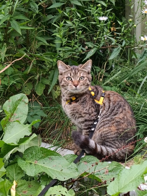 WhatsApp 2025-09-15 в 17.32.34_8ffabf8e