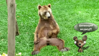 фап
