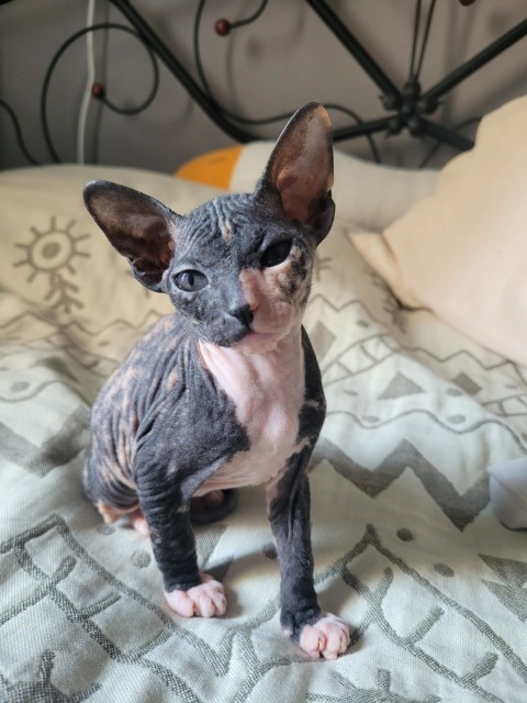 13d751c4-582b-434e-b2d4-5eca1de17676