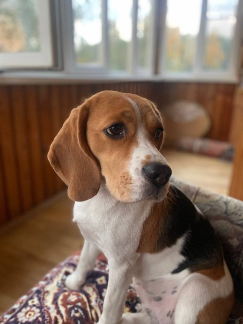 photo_5431371971750400388_y