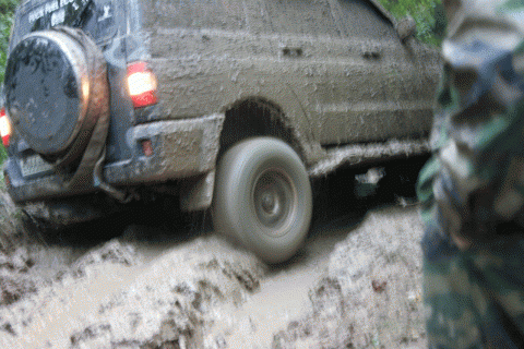 гифка патрик