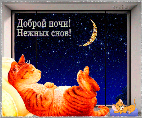 Спокойной ночи, нежных снов!