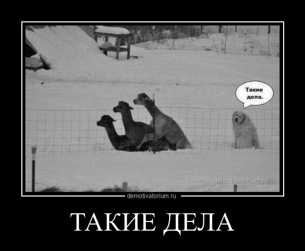 такие дела