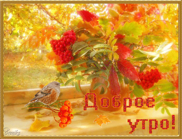 Доброе утро!