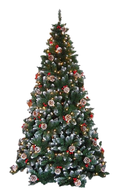 png-klev-club-5hmy-p-yelka-naryazhennaya-png-6-removebg-preview