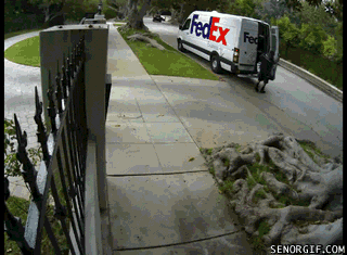 536adf85048dc6e8017948b4eae3dfe4